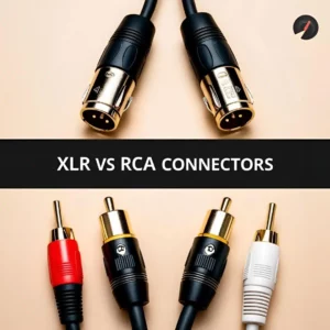 XLR VS RCA Connector