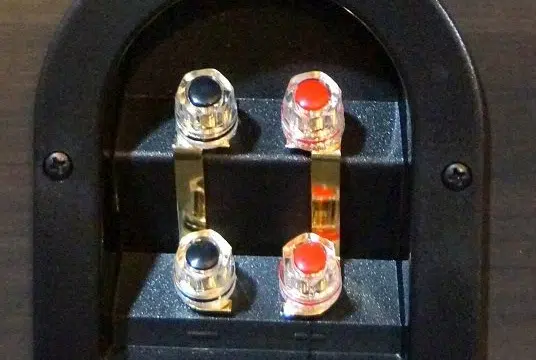 dual binding posts for speaker
