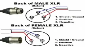 3 pin XLR Connector Basics