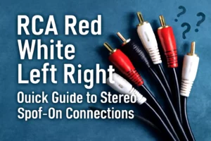 RCA 赤 白 左 右